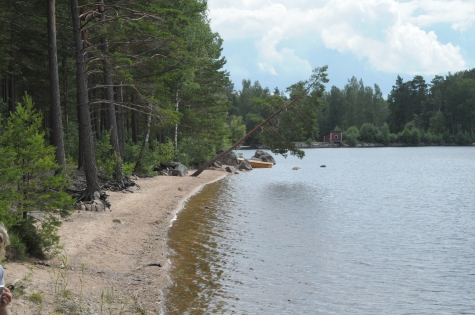 Virlången