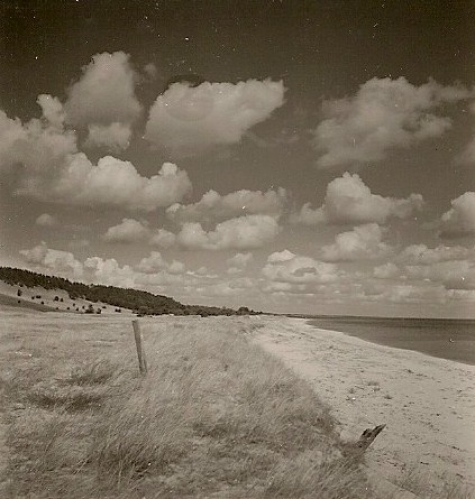 Vitemölla
