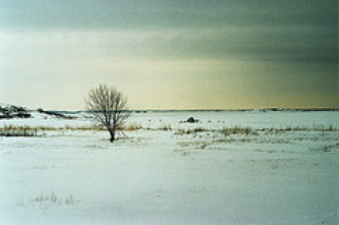Vrångö Nötholmen