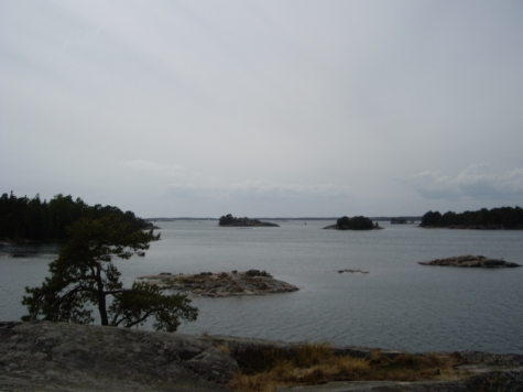 Stendörrens naturreservat