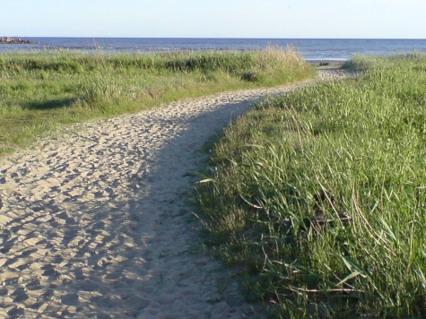 Hansagårds Camping