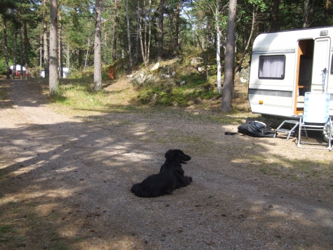 Läckö Slott Camping