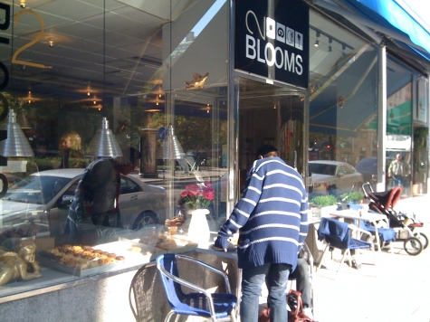 Blooms 2