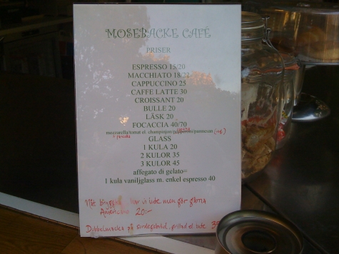 Mosebacke café