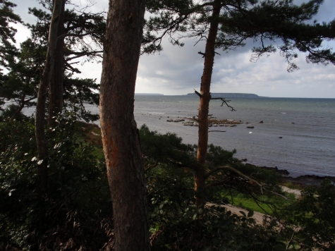 Sandhamns camping