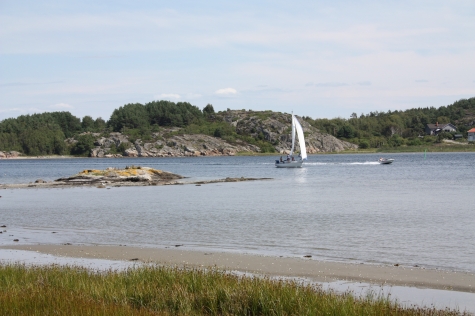 Handelsman Flink