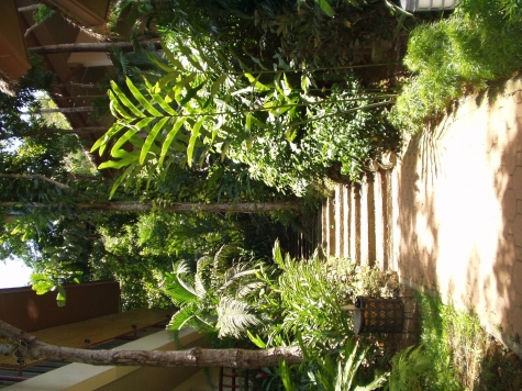 Pakasai Resort