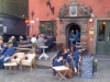 Café Kaffekoppen