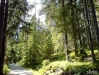 Tyresta Nationalpark Café