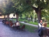 Café 1790