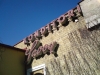 Savoy, Konditori