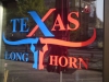 Texas Longhorn