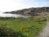 Boviken