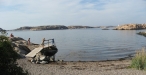 Boviken