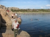 Boviken