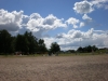 Sandstranden sett från vattnet.
