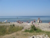 Djupvik