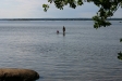 När man vadar ut i den långgrunda sandstranden ser man en hel del små fiskar.