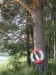 Järvsö, Ljusnan, Kyrkbyvågen