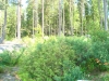 Lillsjön