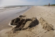 Sandhammaren i sydöstra Skåne