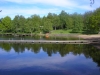 Simsjön Bryggan