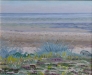 Stranden enligt Sezaki