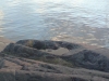 Fredhälls klippbad