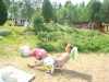Min gubbe som sitter bakvänt mot stranden