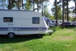 Mysigt under tallarna på Sandskogens Camping.