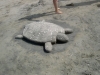På stranden gör barnen sandfigurer