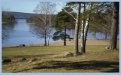 Arvika SweCamp Ingestrand