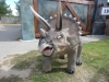 En av ´dinosaurierna´ på campingen :-)