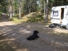 Läckö Slott Camping