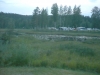 Vy över en del av fikecampingen