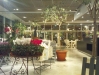 Garden Bistro & Design