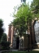 Sankta Gertruds kyrka (Tyska kyrkan)