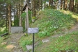Eget foto