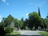 Eget foto