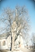 Katrineholms kyrka