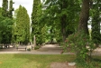 Kyrkogården är verkligen parkliknande
