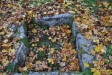 Eget foto