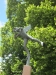 Carl Milles ängel.