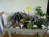 eget foto