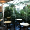 Bilder från Edvard Andersons Växthuscafé