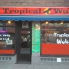 Bilder från Tropical Wok