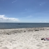 Bilder från Falsterbo strandbad