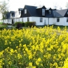 Bilder från Sjöbacka Gård
