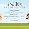 Bilder från Skallet - Umeås Hundcafé
