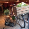 Bilder från Bistro Ett Rum och Kök